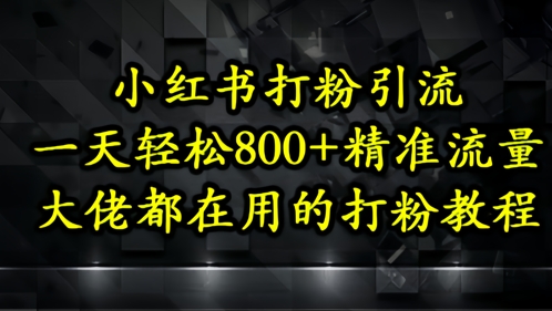 小红书打粉引流，一天轻松500+精准流量，大佬都在用的打粉教程-独家科技资源网