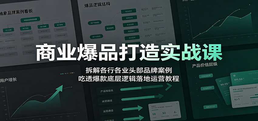商业爆品打造实战课：拆解各行各业头部品牌案例，吃透爆款底层逻辑落地运营教程-独家科技资源网