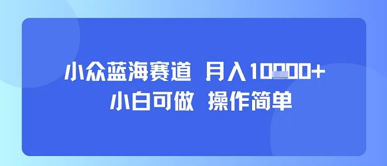小众蓝海赛道，小白可做，操作简单，每天30分钟，月入1W+-独家科技资源网