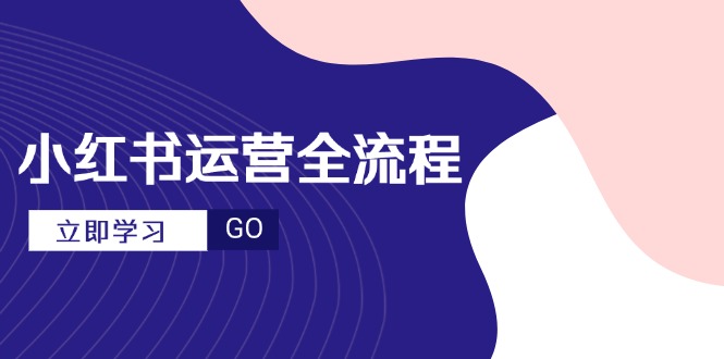 小红书运营全流程，爆款选题文案，视频制作技巧，进阶达人宝典-独家科技资源网
