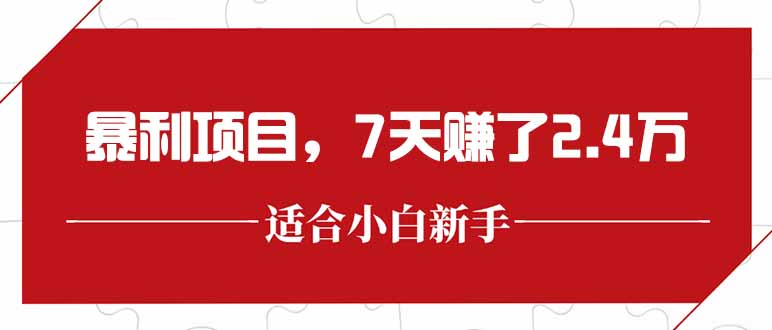 最新暴利项目，每单收益轻松在300以上，7天赚了2.4万-独家科技资源网