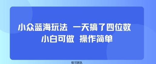 小众蓝海玩法 一天搞了四位数 小白可做 操作简单-独家科技资源网