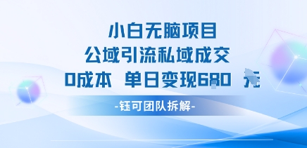 小白无脑项目公域引流私域成交0成本单日变现680米-独家科技资源网