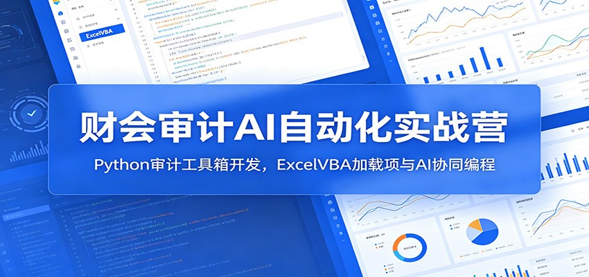 财会审计AI自动化实战营：Python审计工具箱开发，ExcelVBA加载项与AI协同编程-独家科技资源网