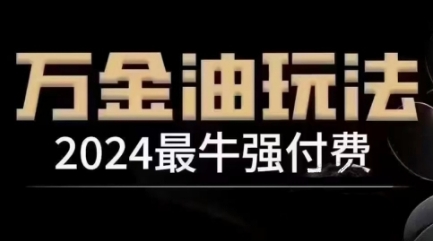 2024最牛强付费，万金油强付费玩法，干货满满，全程实操起飞(更新25年04月)-独家科技资源网