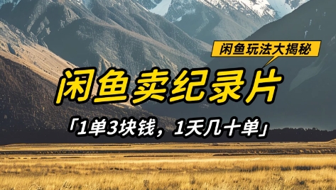 闲鱼卖纪录片1单3块钱，1天几十单，项目稳定有潜力-独家科技资源网