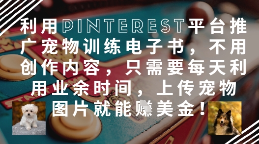 利用Pinterest平台推广宠物训练电子书，不用创作内容，只需要每天利用业余时间，上传宠物图片就能挣美金!-独家科技资源网