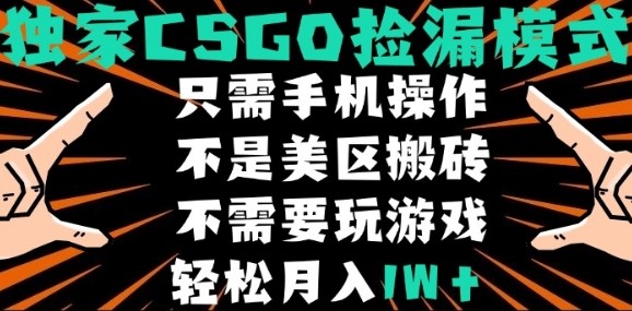 CSGO自动捡漏项目，最新独家玩法，不是美区搬砖，不需要了解和玩游戏，新手小白轻松月入1W+【揭秘】-独家科技资源网