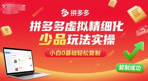 拼多多虚拟精细化少品玩法实操，小白0基础轻松复制-独家科技资源网