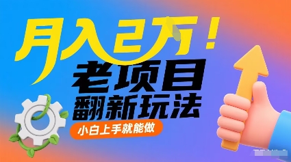 月入2W！老项目翻新玩法，小白上手就能做，非常容易上手-独家科技资源网