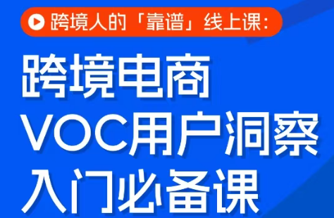 跨境电商VOC用户洞察入门必备课-独家科技资源网