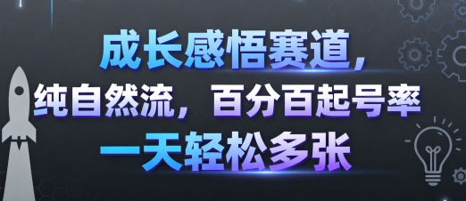成长感悟赛道，纯自然流，百分百起号率 一天轻松多张-独家科技资源网