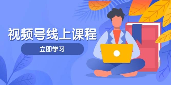 视频号实战课程，轻IP打造与运营技巧，掌握核心方法与策略-独家科技资源网