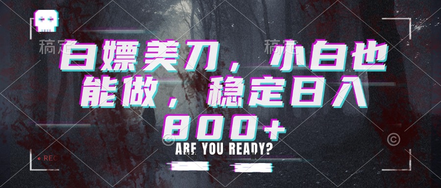 白嫖美刀，小白也能做，稳定日入800+-独家科技资源网
