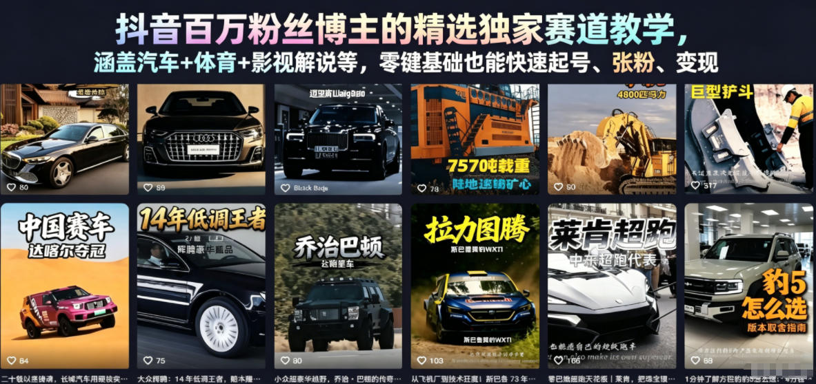 抖音百万粉丝博主的精选独家赛道教学,涵盖汽车+体育+影视解说等,零基础也能快速起号、涨粉、变现-独家科技资源网