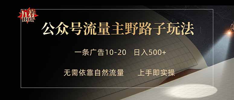 公众号流量主野路子玩法 单条广告10-20元 日入500+-独家科技资源网