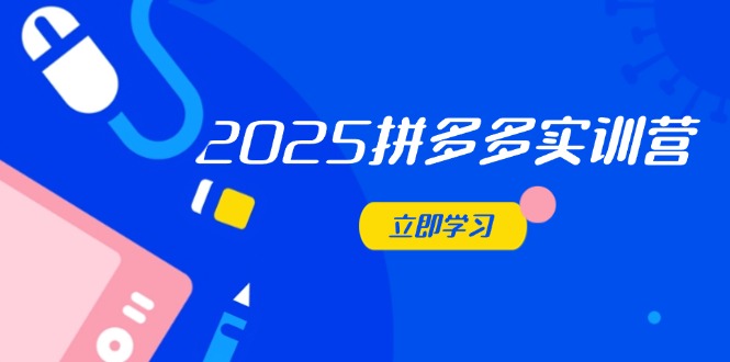 2025拼多多实训营：深度剖析运营关键，助力电商人快速提升-独家科技资源网