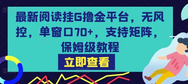 最新阅读挂G撸金平台，无风控，单窗口70+，支持矩阵，保姆级教程【揭秘】-独家科技资源网