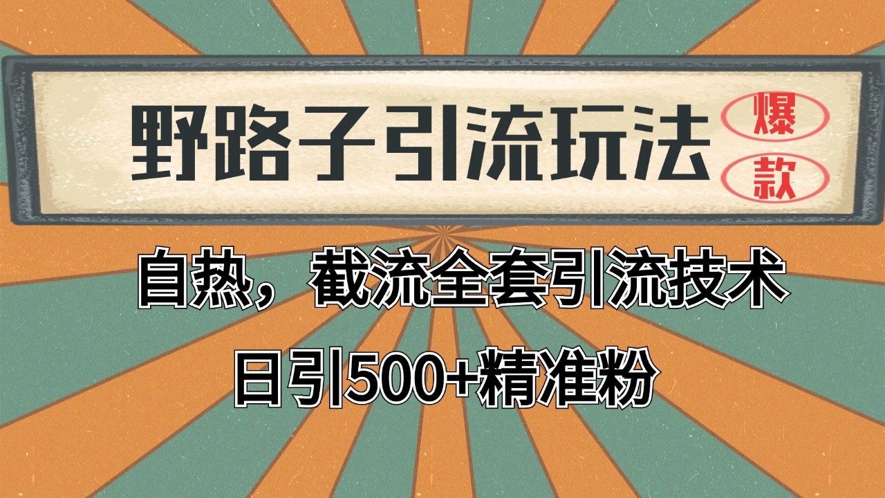 2024首发野路子引流玩法截流自热全平台打法，全自动引流【日引2000+精准客户】-独家科技资源网