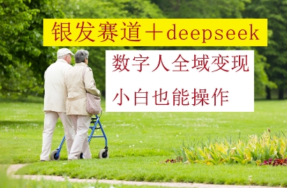 银发赛道+deepseek数字人全域变现，小白也能操作-独家科技资源网