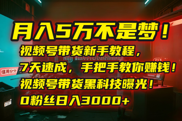 月入5万不是梦！视频号带货新手教程，7天速成，手把手教你赚钱！视频号...-独家科技资源网