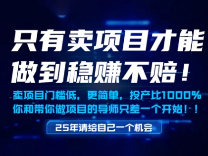 只有卖项目才能做到稳挣不赔，门槛低，更简单，你也可以年入百个W【揭秘】-独家科技资源网