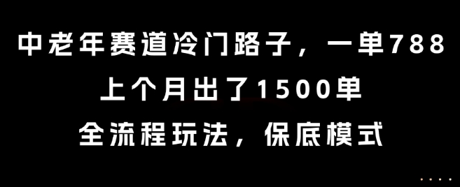中老年赛道冷门路子，一单788，上个月出了1500单，全流程玩法，保底模式【揭秘】-独家科技资源网