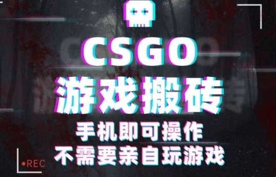 CSGO游戏挂G捡漏，单日扫货5张+，年底小高峰上车可吃肉，手机即可操作，兼职副业创业网创【揭秘】-独家科技资源网