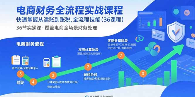 电商财务全流程实战课程：快速掌握从建账到报税的全流程技能(36节课-独家科技资源网