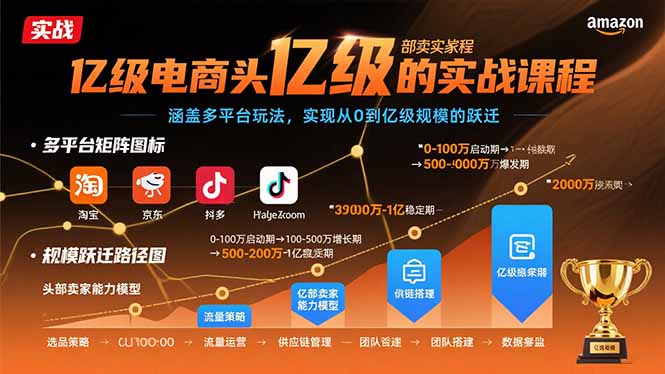 亿级电商头部卖家的实战课程：涵盖多平台玩法，实现从0到亿级规模的跃迁-独家科技资源网