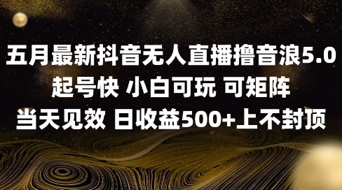 2025五月最新无人直播撸音浪单日产出5张+实操教程【揭秘】-独家科技资源网