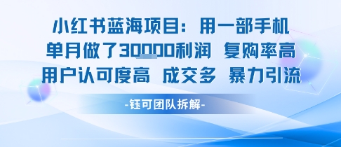 小红书蓝海项目，一部手机单月做了3W利润，小白也能月入过1W用户认可度高成交多-独家科技资源网