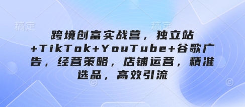 跨境创富实战营，独立站+TikTok+YouTube+谷歌广告，经营策略，店铺运营，精准选品，高效引流-独家科技资源网