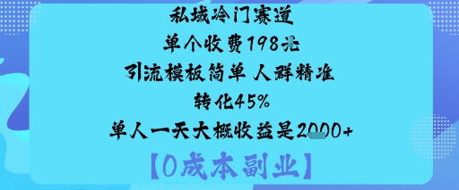 私域冷门赛道:单个收费198米引流模板简单人群精准转化45%单人一天大概收益是1k+-独家科技资源网
