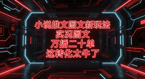 小说推文图文新玩法，实况图文，万播二十单，这转化太牛了！-独家科技资源网