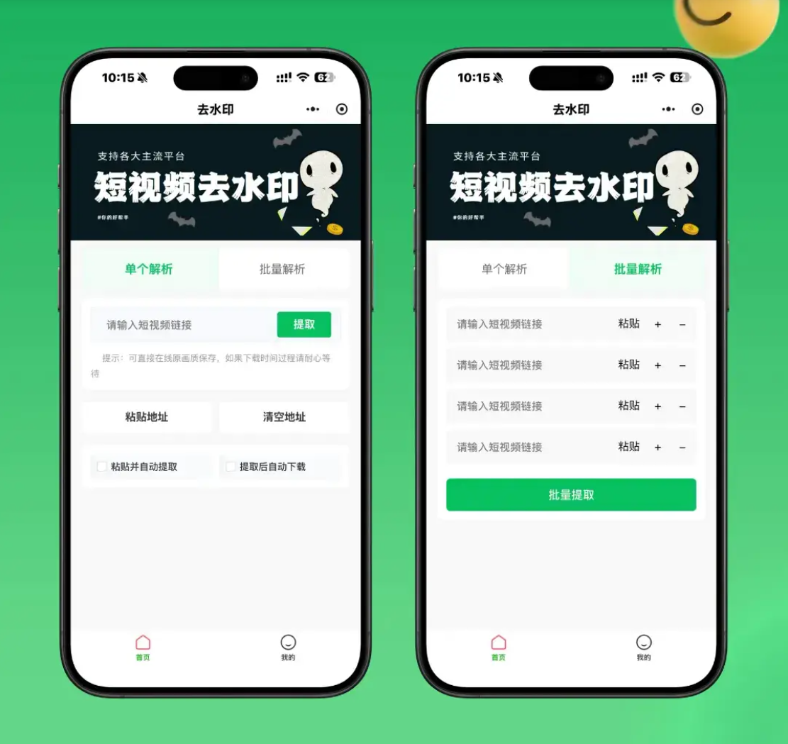 2026最新去水印小程序源码 v1.6.5 带流量主-独家科技资源网
