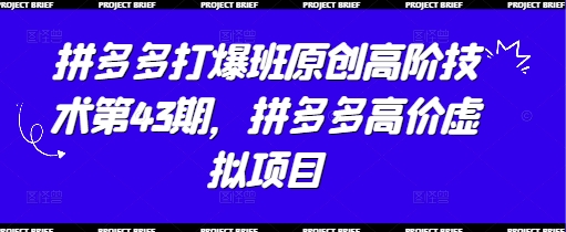 拼多多打爆班原创高阶技术第43期，拼多多高价虚拟项目-独家科技资源网