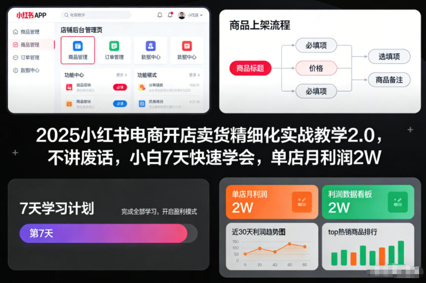 2025小红书电商开店卖货精细化实战教学2.0，不讲废话，小白7天快速学会，单店月利润2W-独家科技资源网