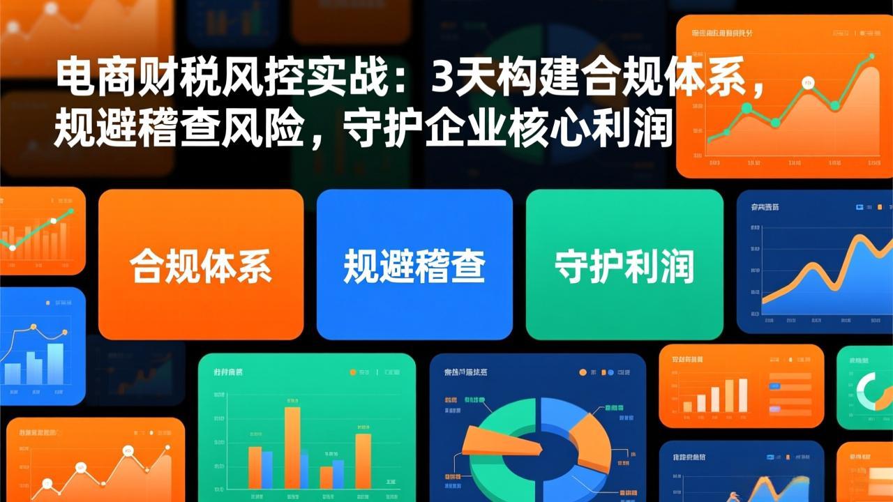 电商财税风控实战:3天构建合规体系,规避稽查风险,守护企业核心利润-独家科技资源网