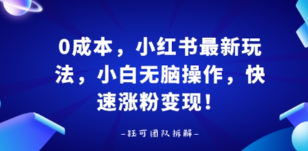 0成本，小红书最新玩法，小白无脑操作，快速涨粉变现-独家科技资源网