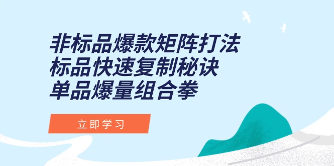 非标品爆款矩阵打法，标品快速复制秘诀，单品爆量组合拳-独家科技资源网