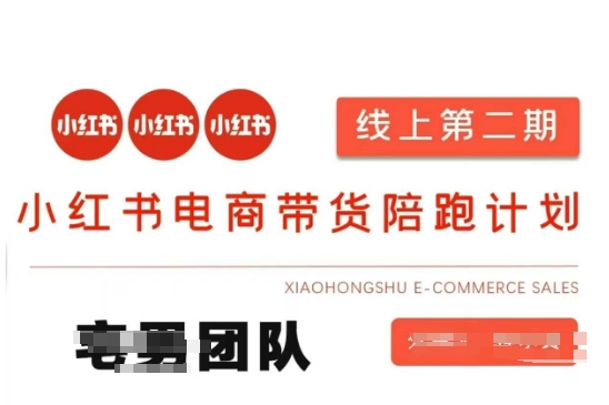 小红书电商带货课2期，月利润20个的小红书电商的有货源，无货源，虚拟产品，付费投流等整套玩法-独家科技资源网