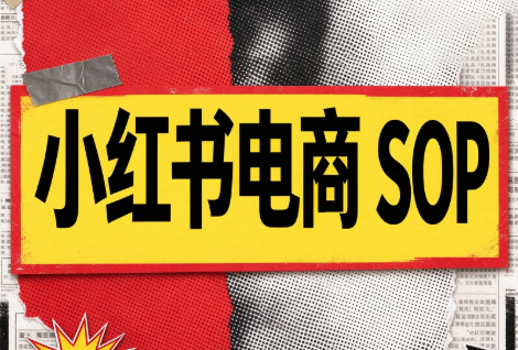 书豪必胜小红书电商sop(更新9月)-独家科技资源网