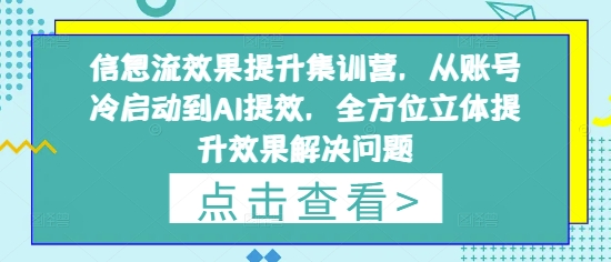 信息流效果提升集训营，从账号冷启动到AI提效，全方位立体提升效果解决问题-独家科技资源网