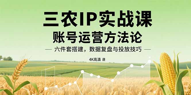 三农IP实战课：账号运营方法论，六件套搭建，数据复盘与投放技巧-独家科技资源网