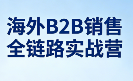 雨哥·海外B2B销售全链路实战营-独家科技资源网