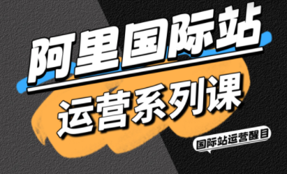 醒目老师·阿里国际站运营系列课(更新3月)-独家科技资源网