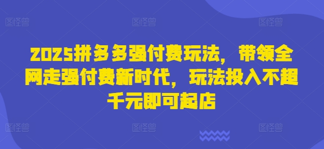 2025拼多多强付费玩法，带领全网走强付费新时代，玩法投入不超千元即可起店-独家科技资源网