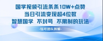 国学视频引流条条10W+点赞当日引流变现超4位数-独家科技资源网