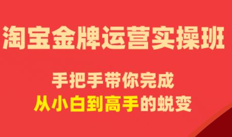 飓风电商·淘宝金牌运营实操班-独家科技资源网